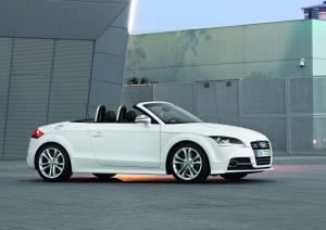 Audi TTS Roadster 2010 года  (WW)